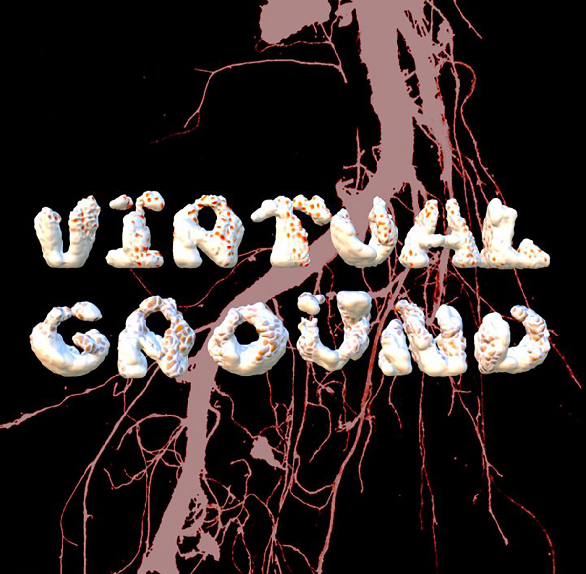 square banner with text "Virtual Ground'
